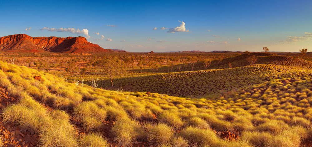 Akustikbild Slim Arizona