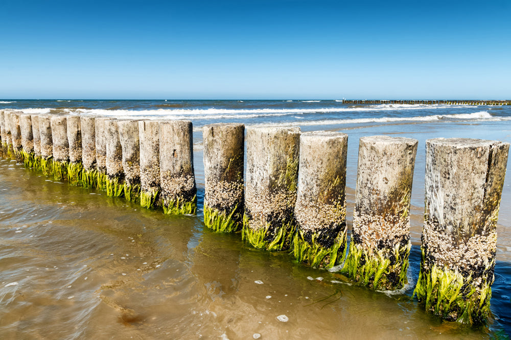 Image acoustique Slim Breakwater 4