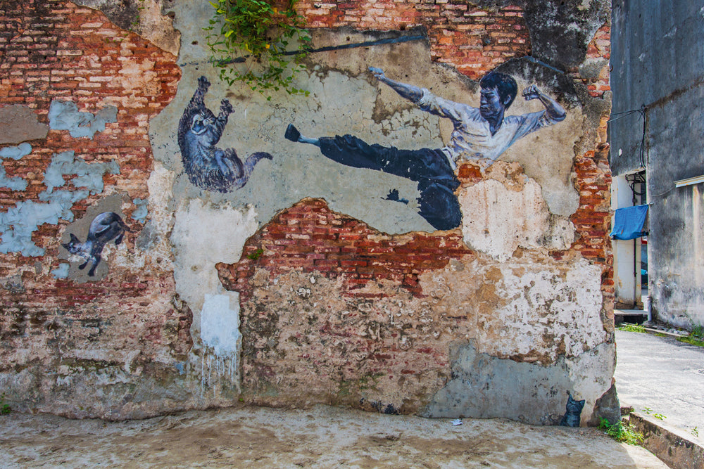 Akustikbild Slim Street Art mit Kämpfer