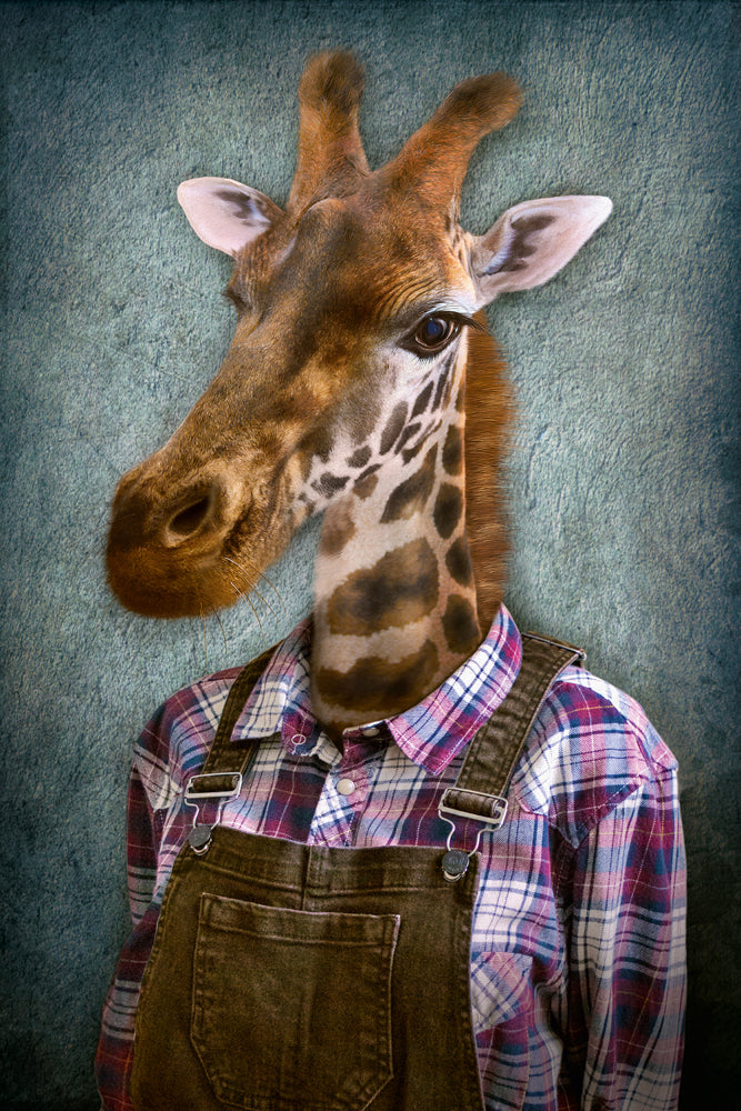 Akustikbild Slim Giraffe mit Latzhose