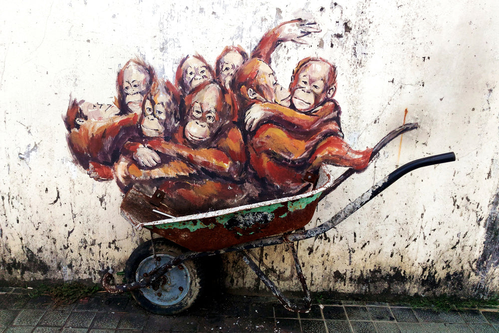 Akustikbild Slim Street Art mit Orang-Utans