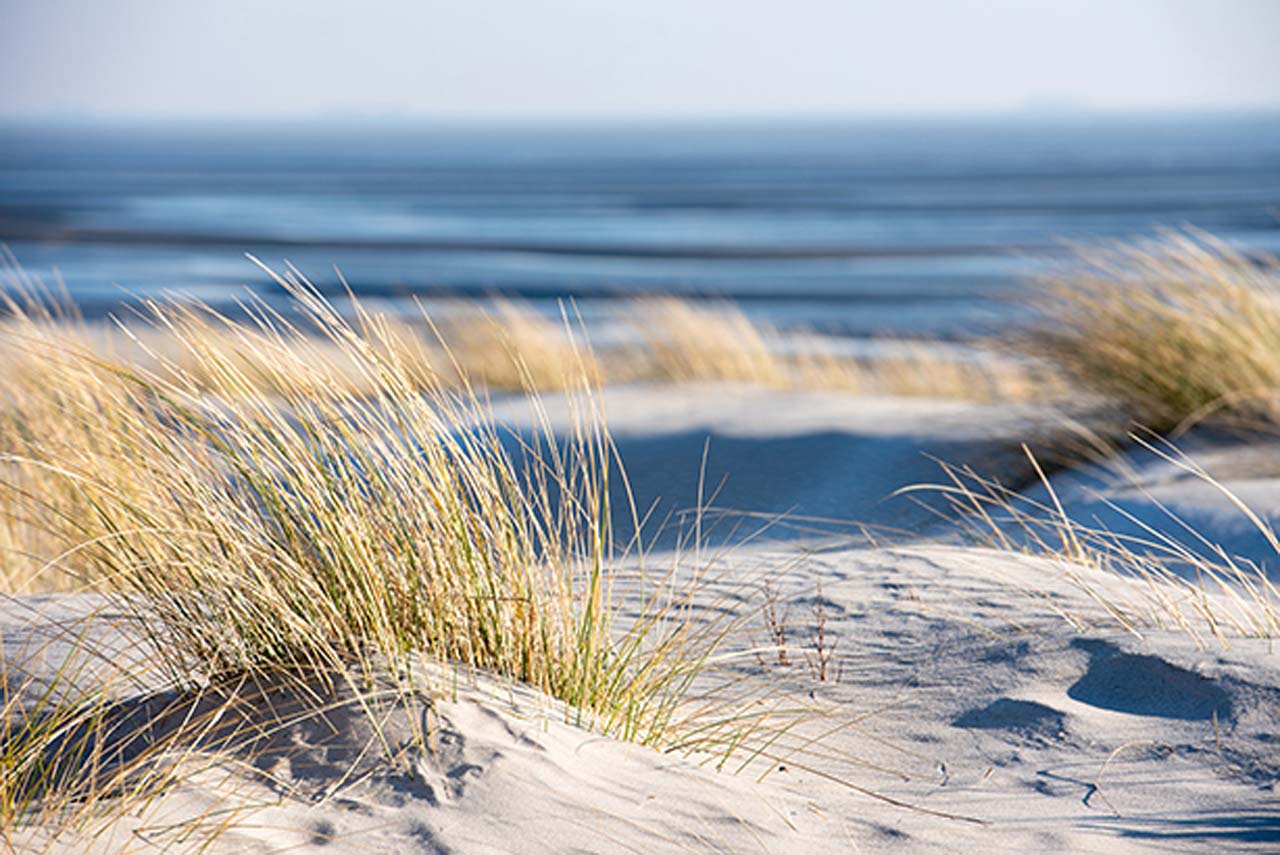 Akustikbild Slim Time Out on the Beach