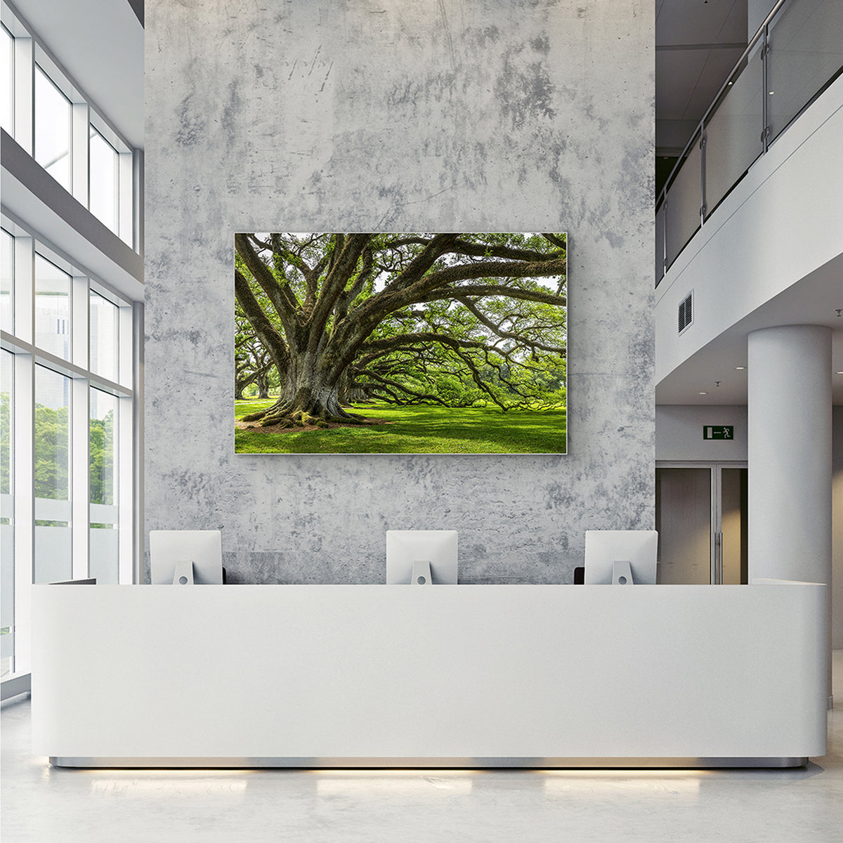 Akustikbild Slim Baum der Ewigkeit