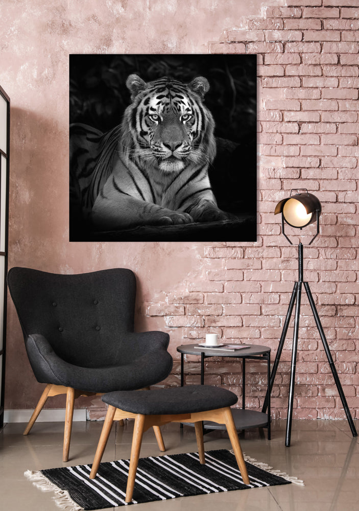 Akustikbild Pro Imposanter Tiger