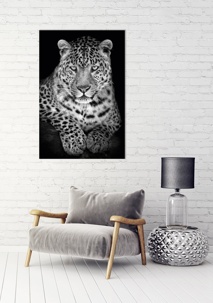 Akustikbild Pro Leo