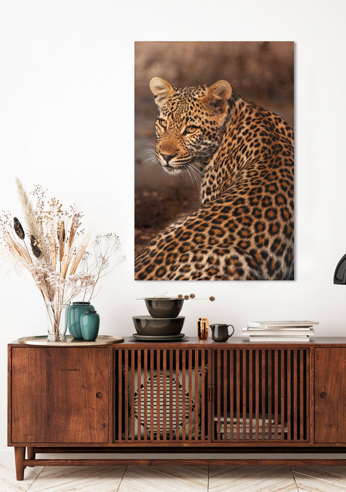leopard