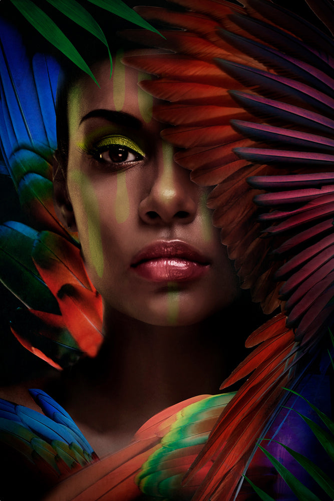 Glass Picture Beauty with Feathers