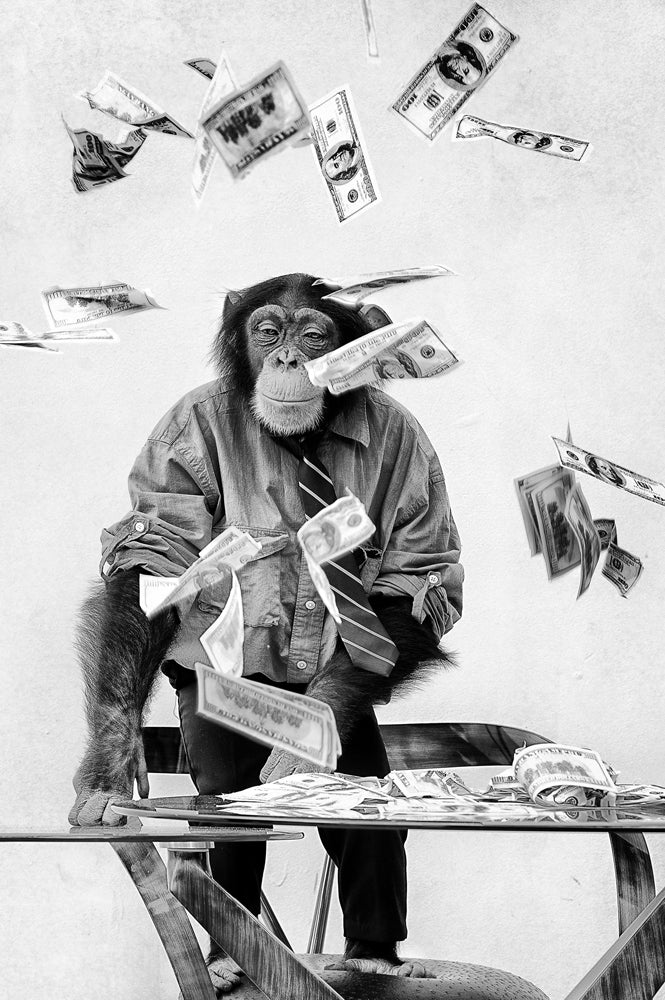 Glass Picture Chimpanzee in the Rain of Money