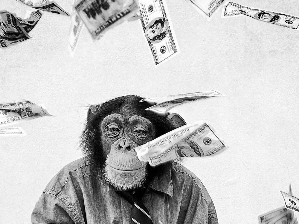 Glass Picture Chimpanzee in the Rain of Money