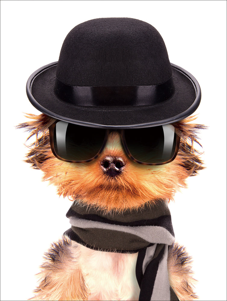 Cool puppy