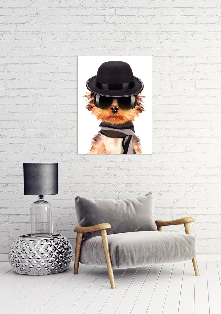 Cool puppy