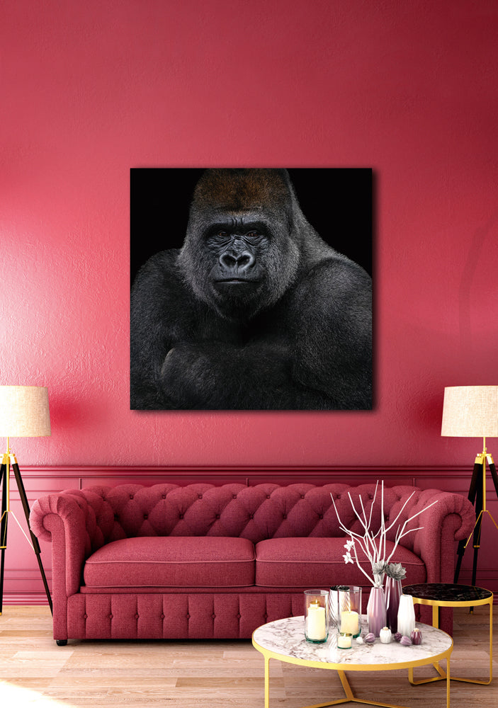glass picture Gorilla