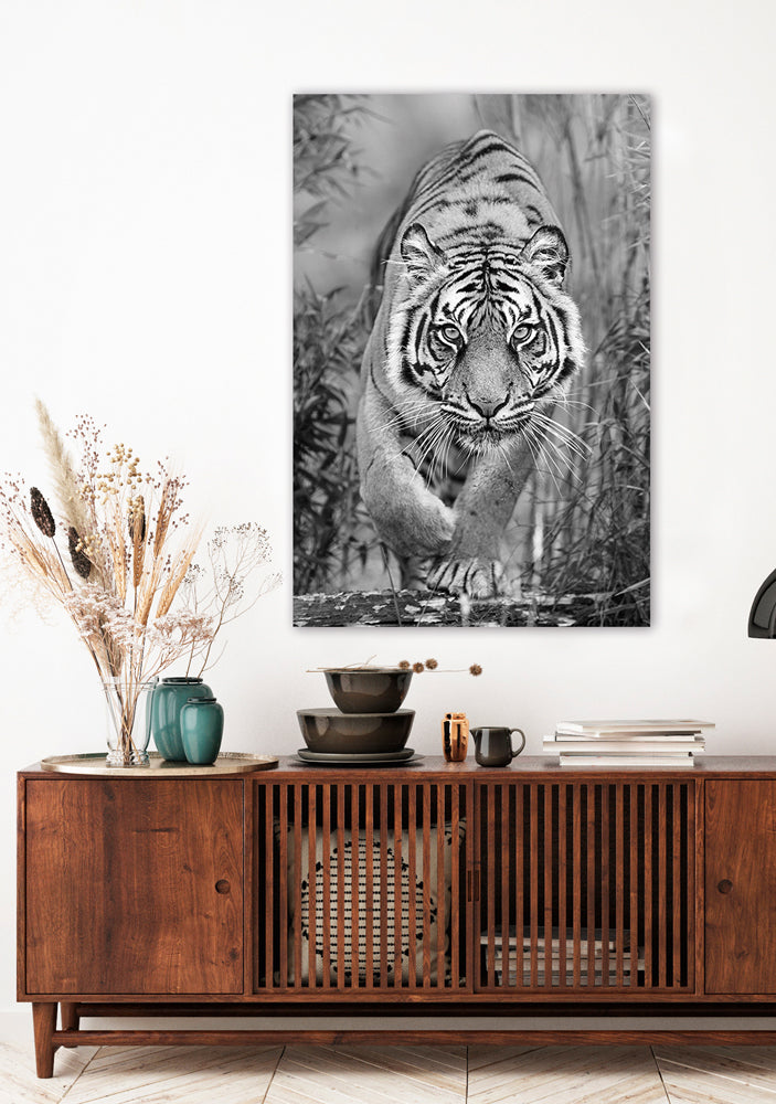 Glass Picture Tiger on the Hunt