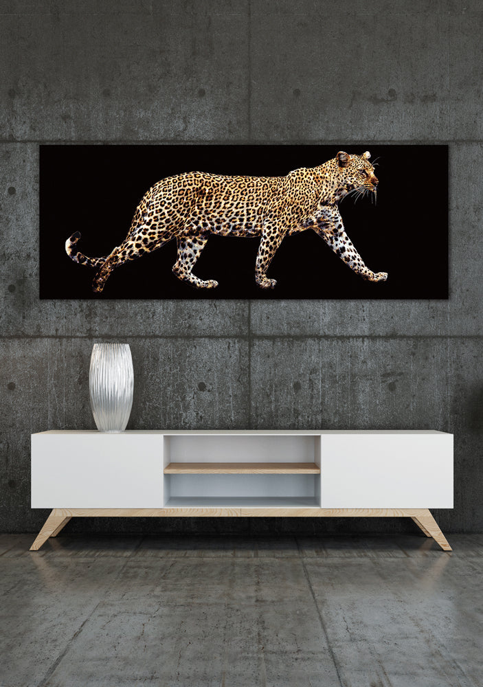 glass picture Leo on Tour