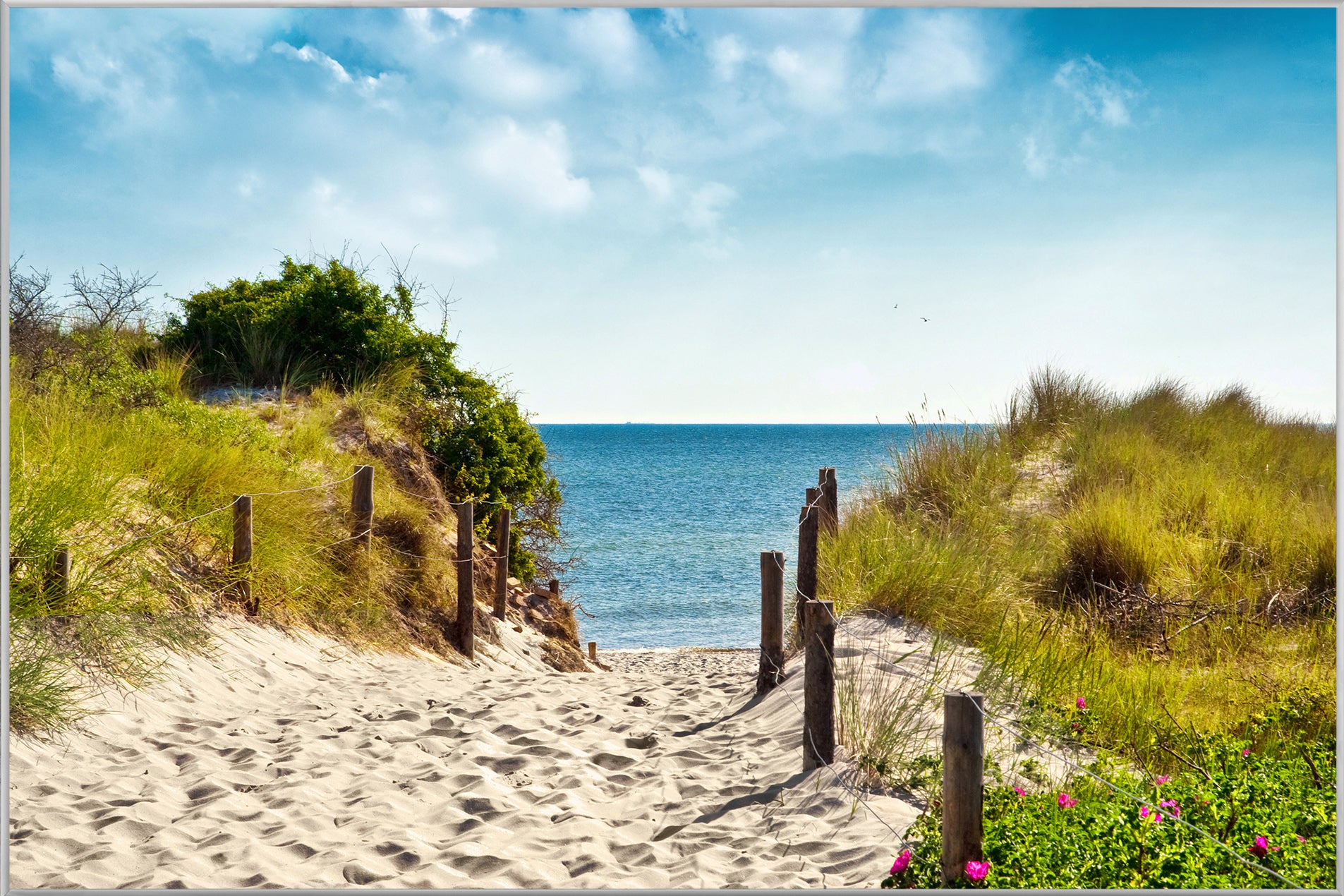 Promenade photo et cadre vers la mer