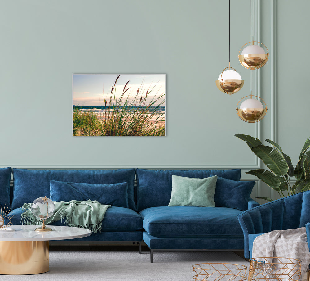 Picture &amp; Frame Seaweed