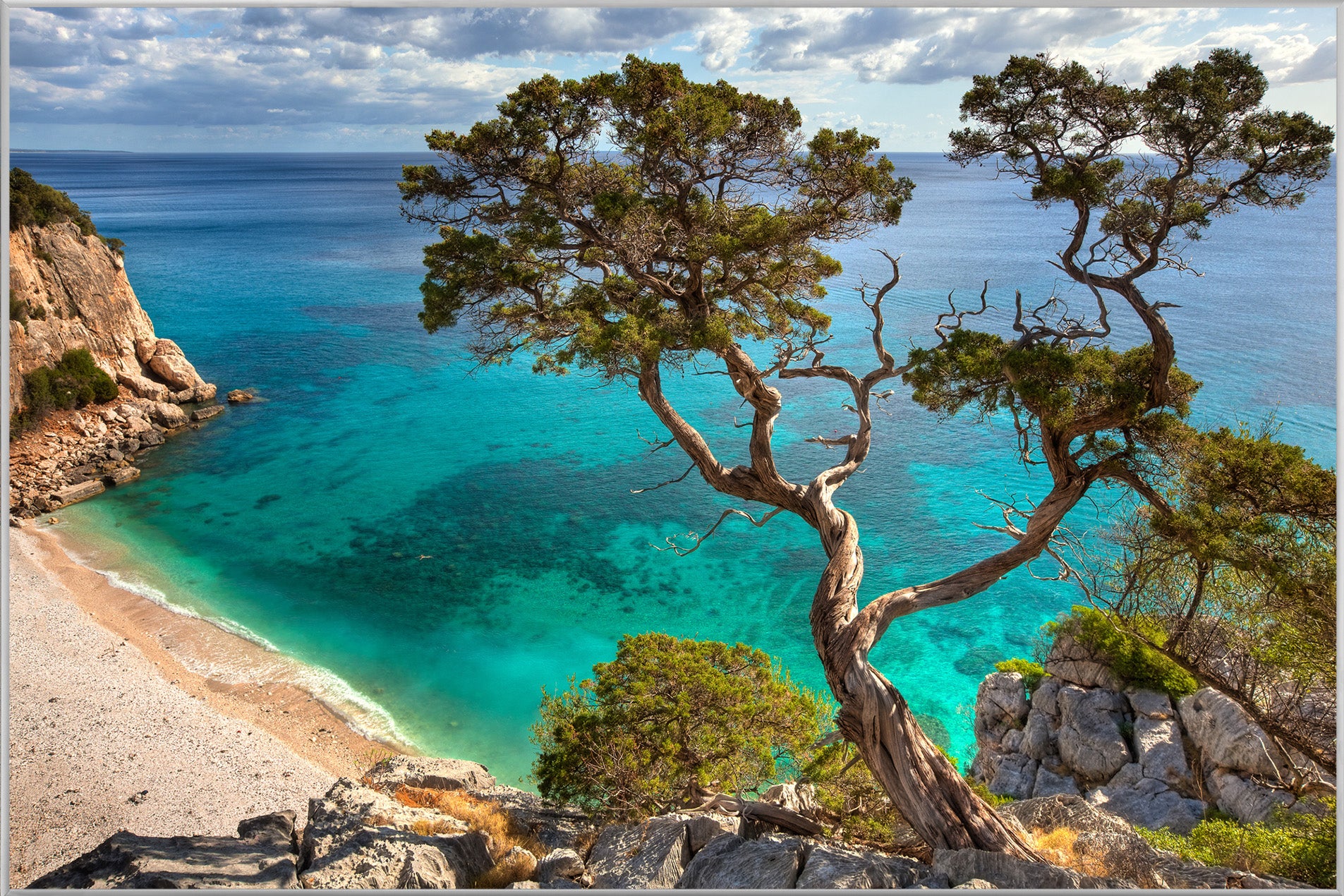 Picture &amp; Frame Cliff with Tree