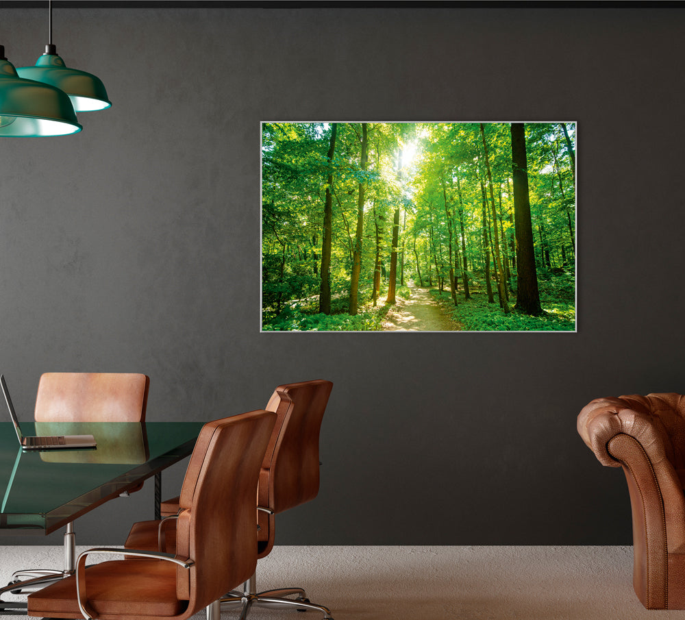 Picture &amp; Frame Forest Path