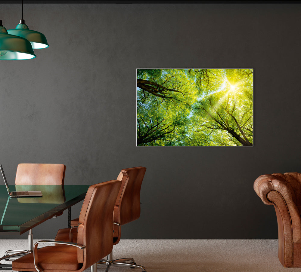 Picture &amp; Frame Treetop 3
