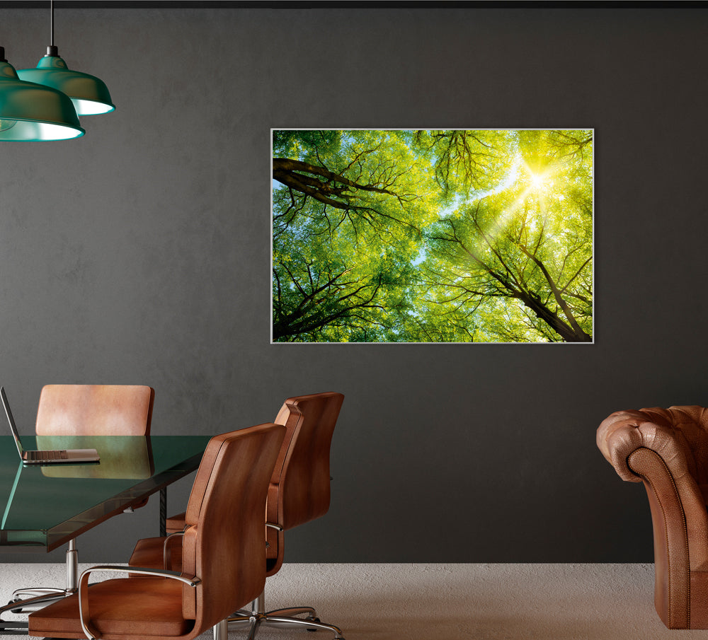 Picture &amp; Frame Treetop 3