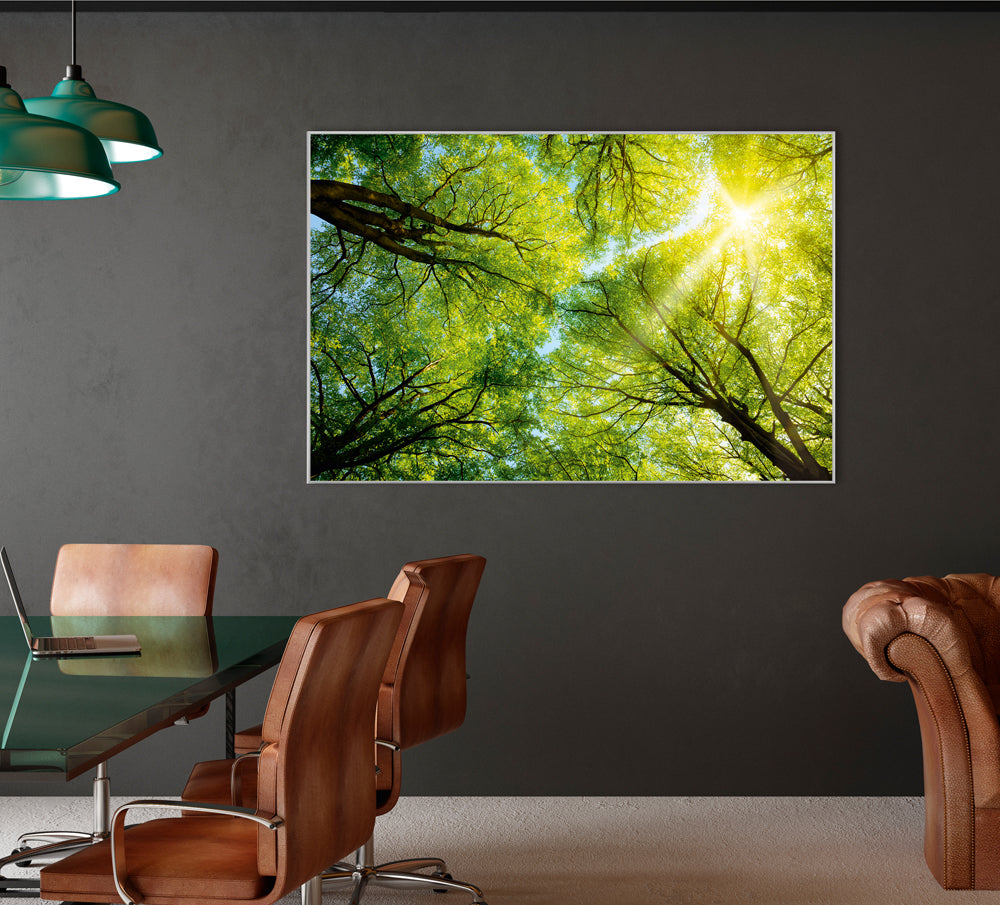 Picture &amp; Frame Treetop 3