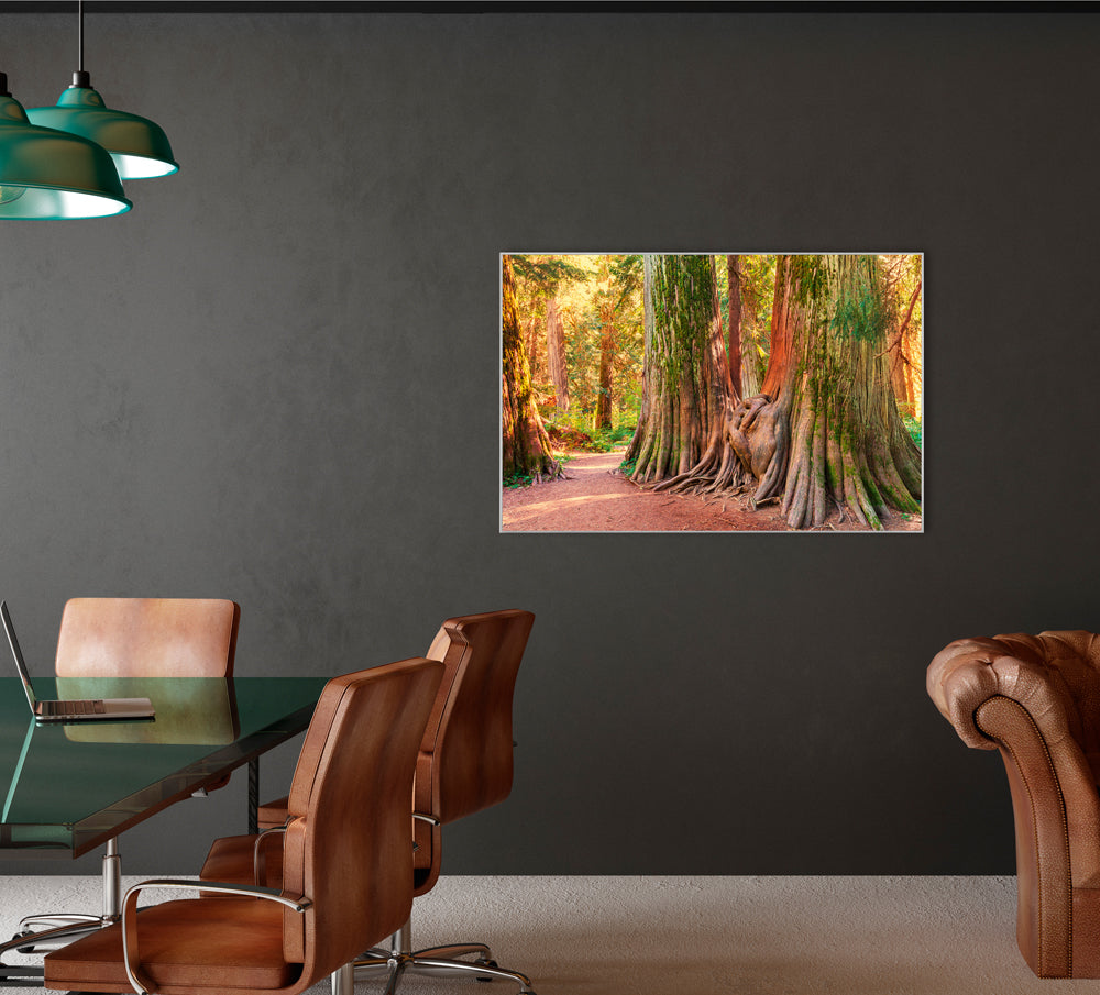 Picture &amp; Frame Tree Root