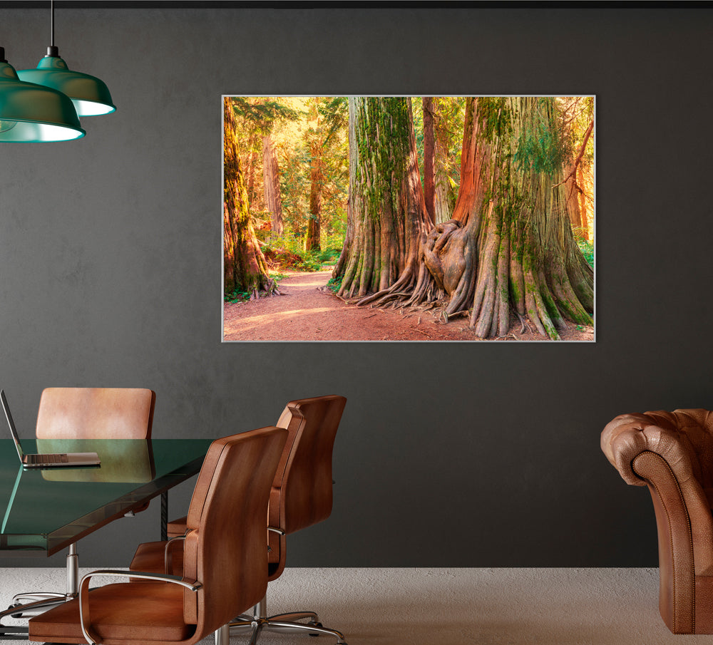 Picture &amp; Frame Tree Root