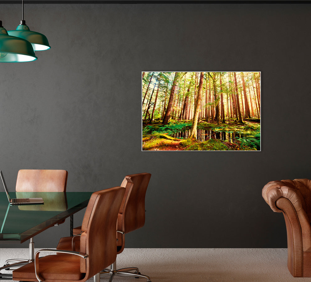 Picture &amp; Frame Tree Trunks