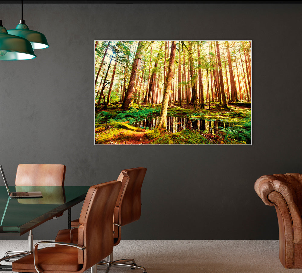 Picture &amp; Frame Tree Trunks