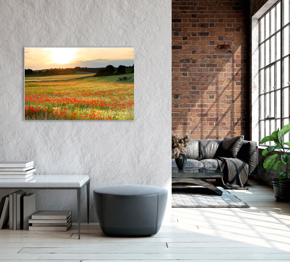 Picture &amp; Frame Meadow with Poppies