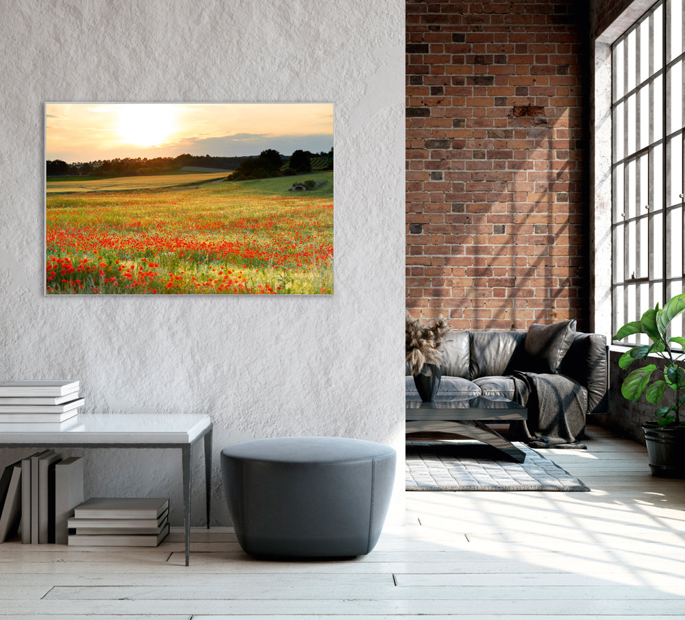 Picture &amp; Frame Meadow with Poppies