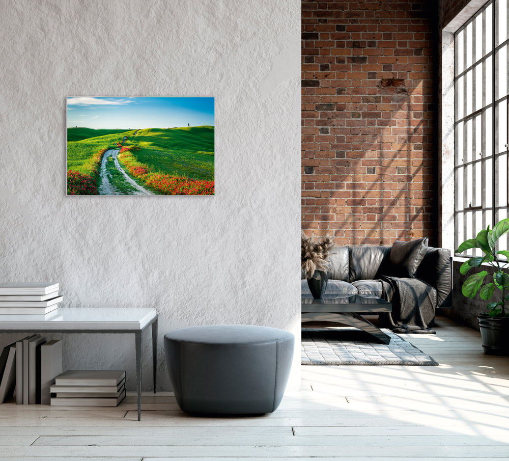 Picture &amp; Frame Roadside with Poppies