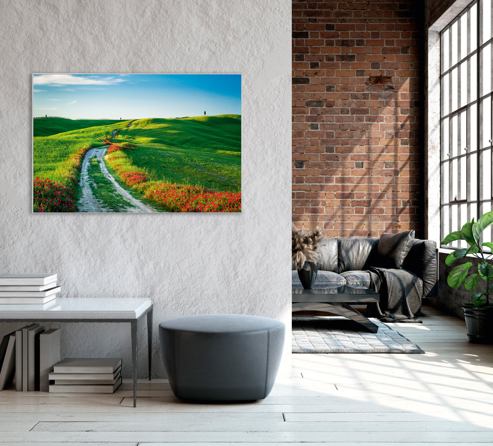 Picture &amp; Frame Roadside with Poppies