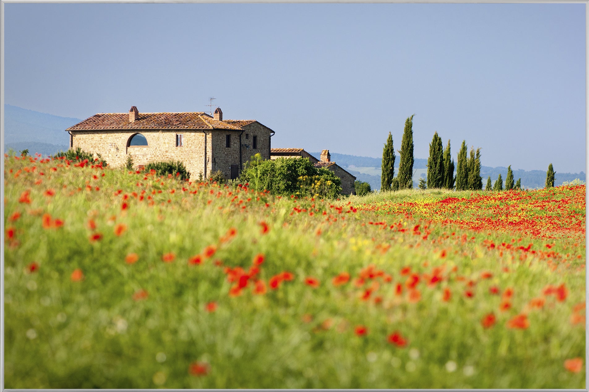 Picture &amp; Frame House in Tuscany with poppy meadow