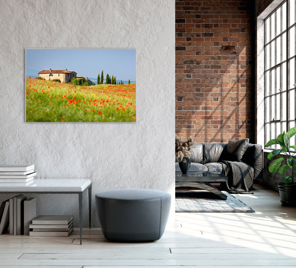 Picture &amp; Frame House in Tuscany with poppy meadow