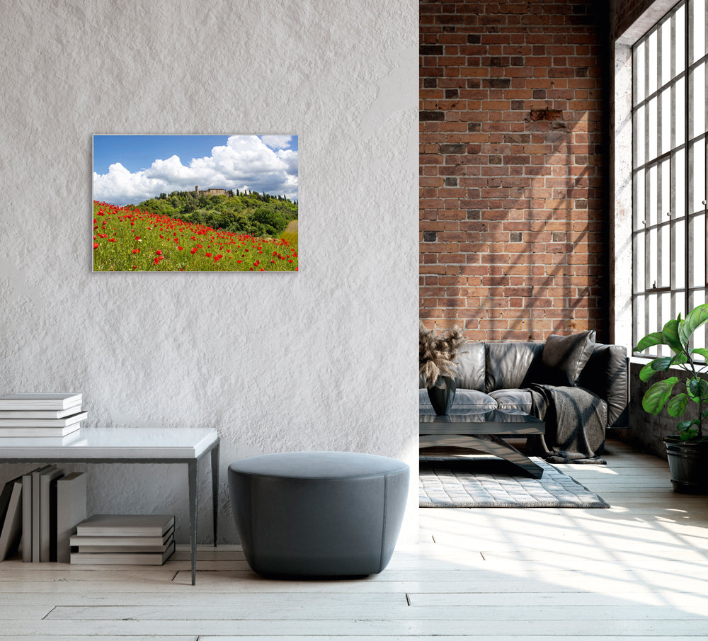 Picture &amp; Frame Poppy Meadow 1