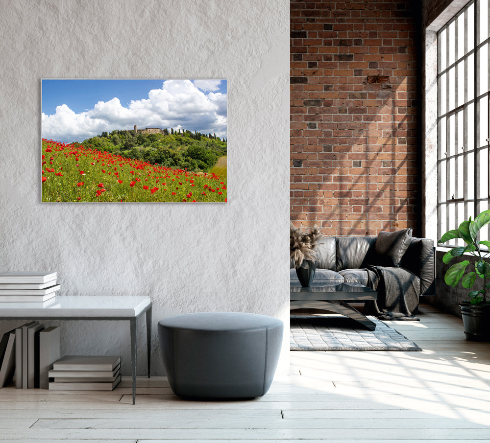 Picture &amp; Frame Poppy Meadow 1