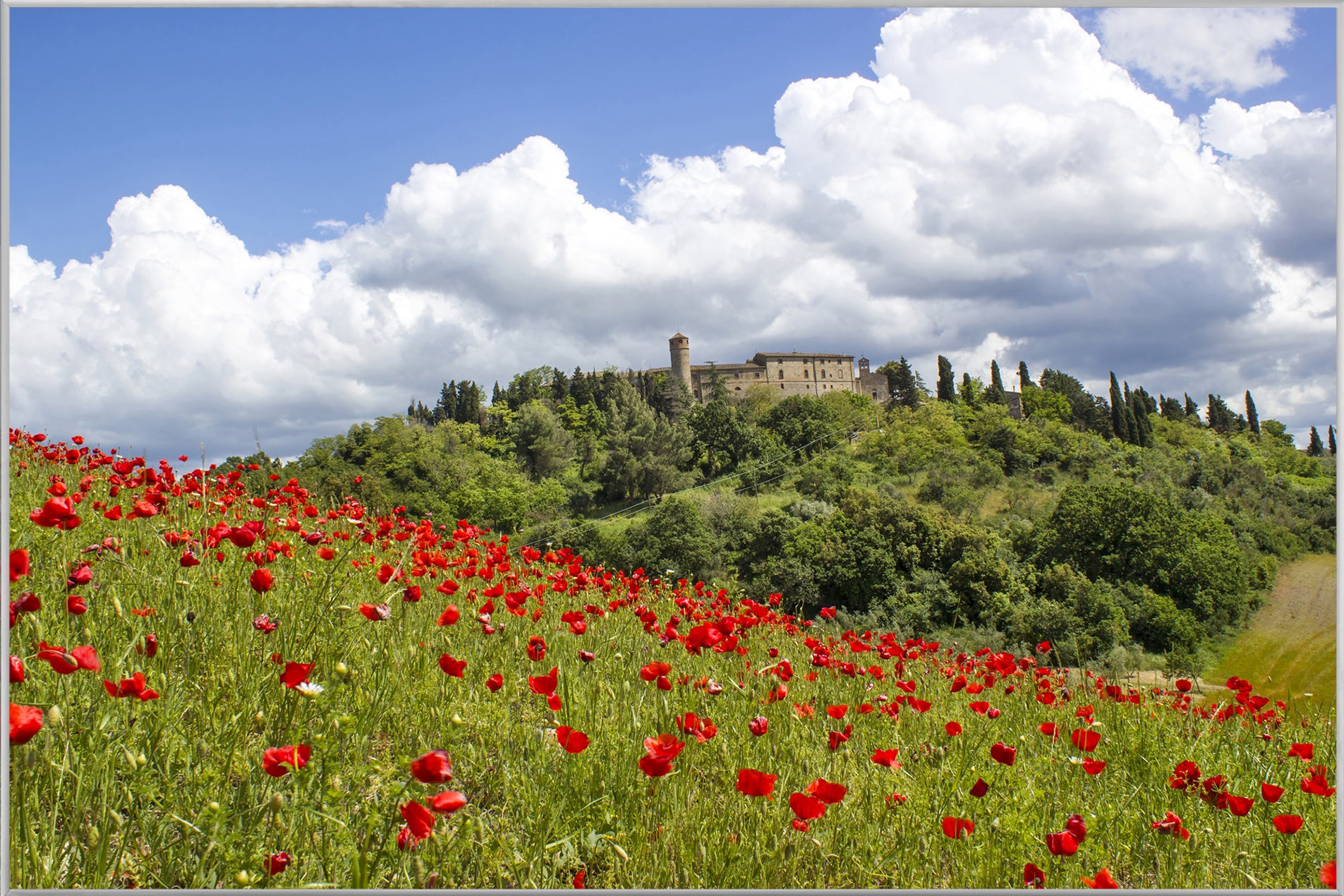Picture &amp; Frame Poppy Meadow 1