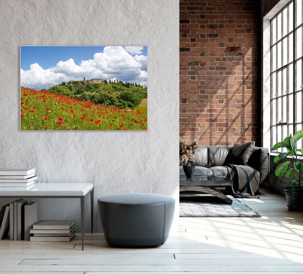 Picture &amp; Frame Poppy Meadow 1