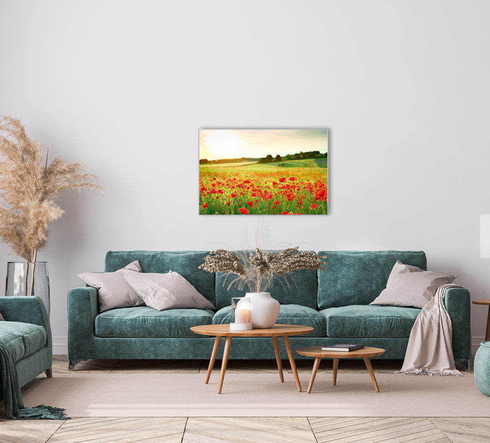 Picture &amp; Frame Poppy Meadow 2