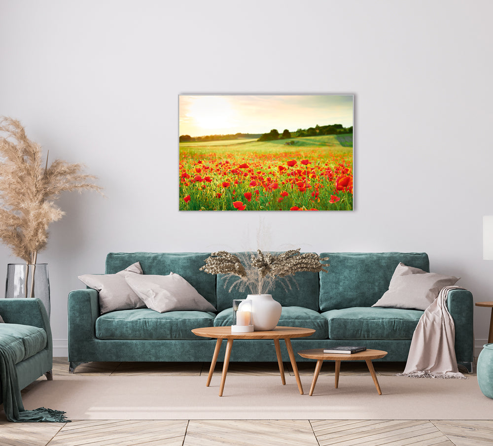 Picture &amp; Frame Poppy Meadow 2