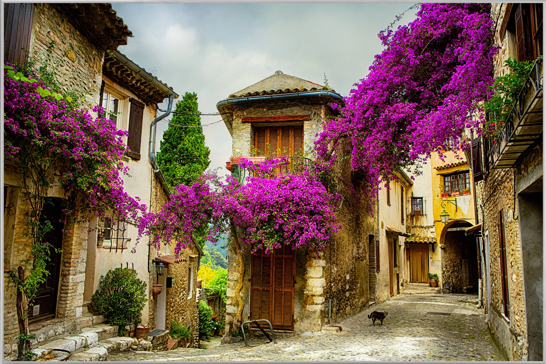 Picture &amp; Frame Tuscan Street 7