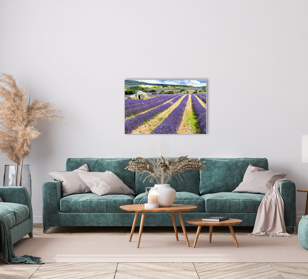 Picture &amp; Frame Lavender Field 3