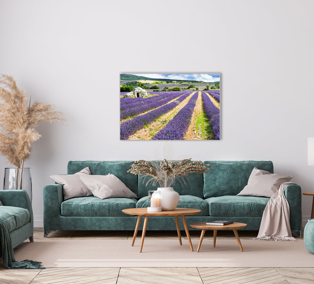 Picture &amp; Frame Lavender Field 3