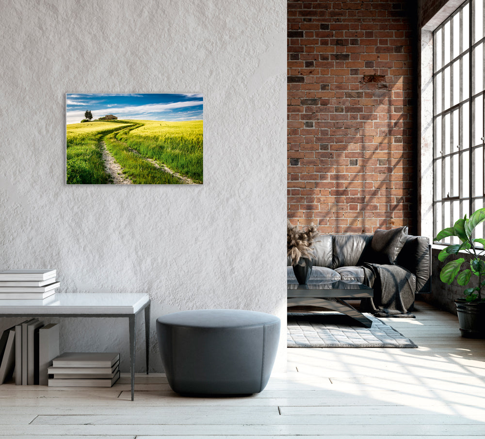 Picture &amp; Frame Field Path
