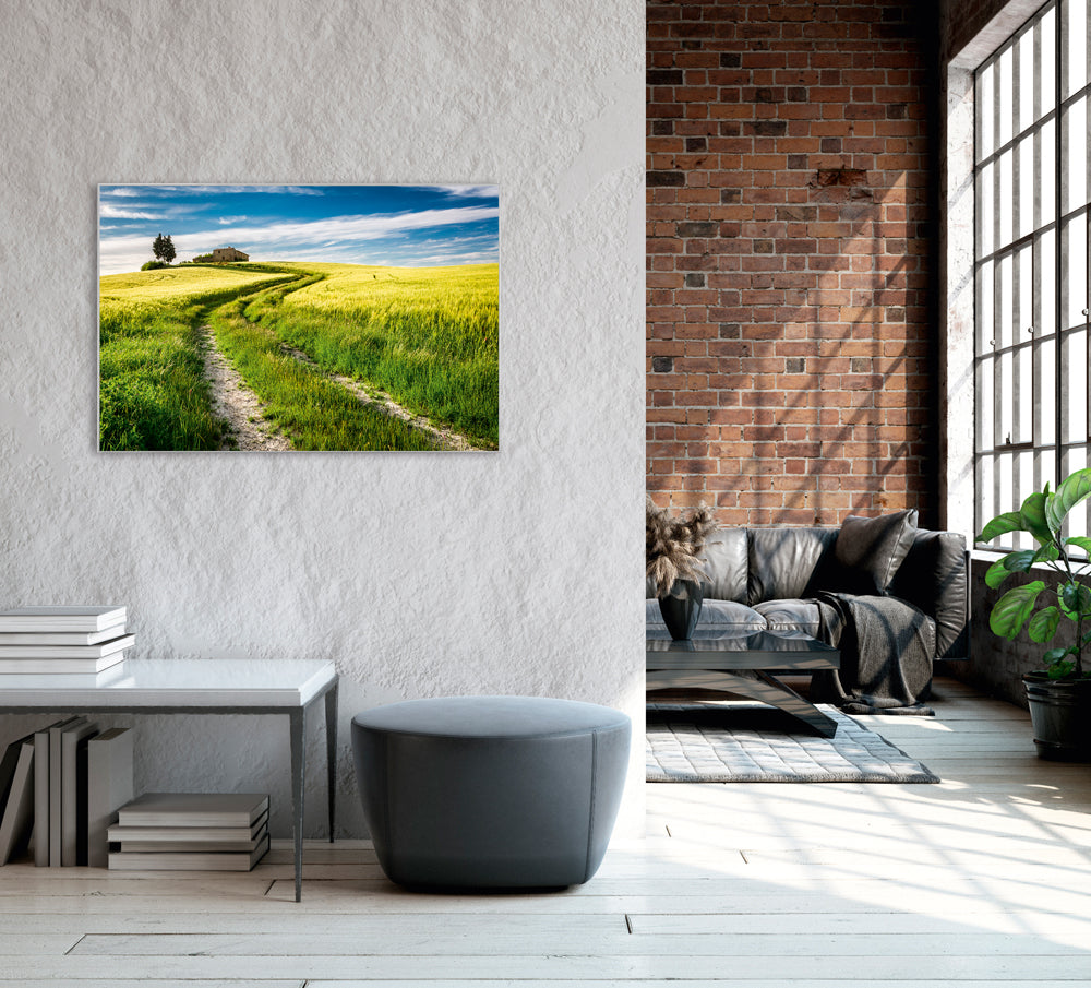 Picture &amp; Frame Field Path