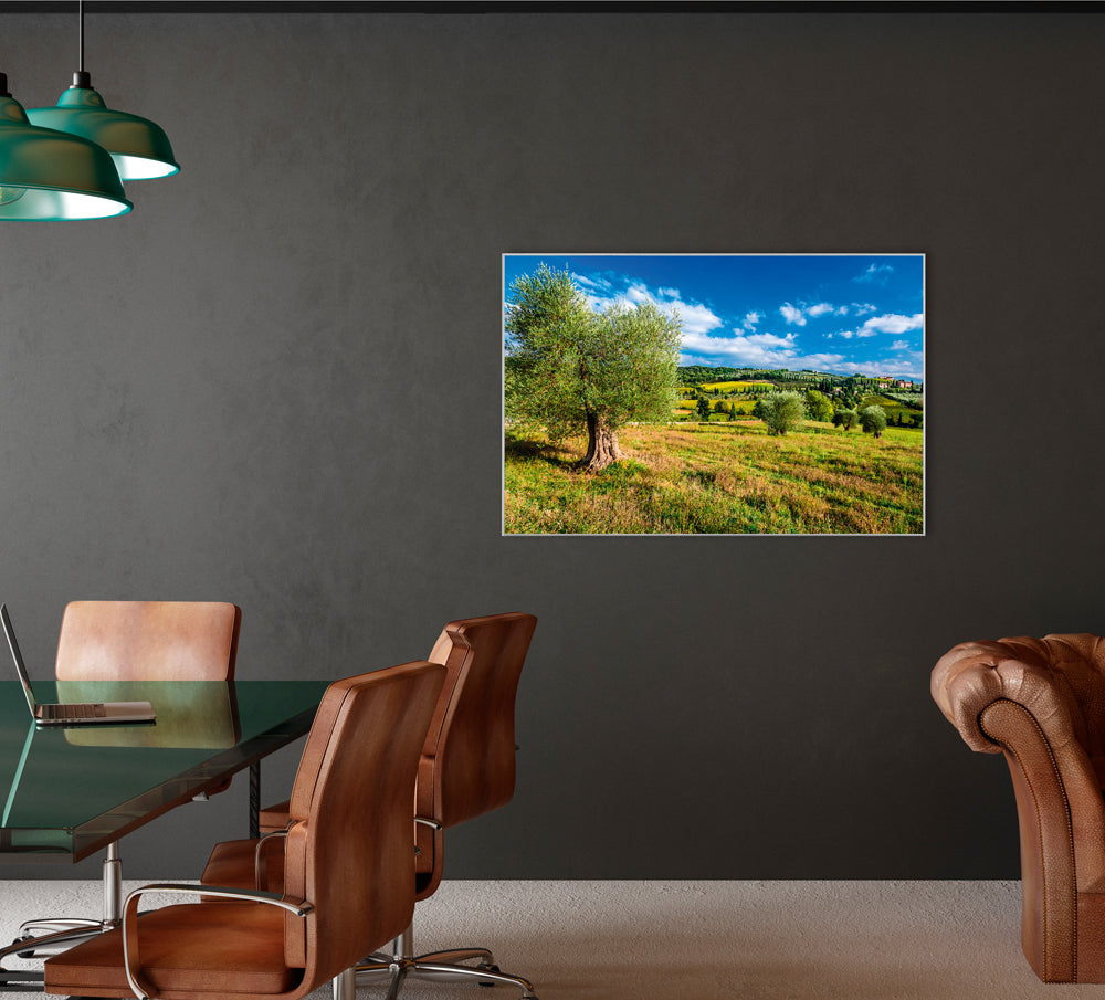 Picture &amp; Frame Pretty Tuscan Landscape
