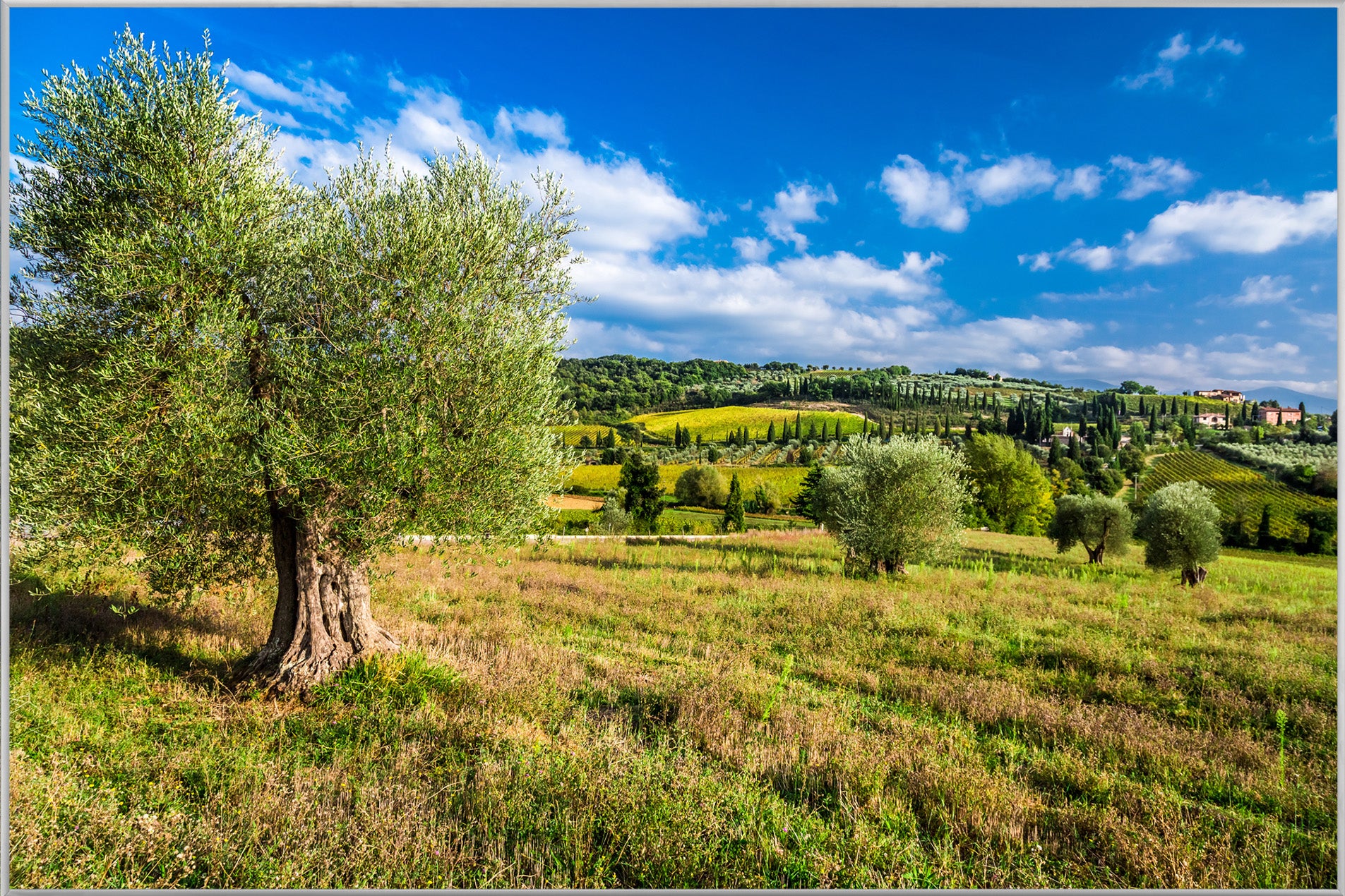 Picture &amp; Frame Pretty Tuscan Landscape