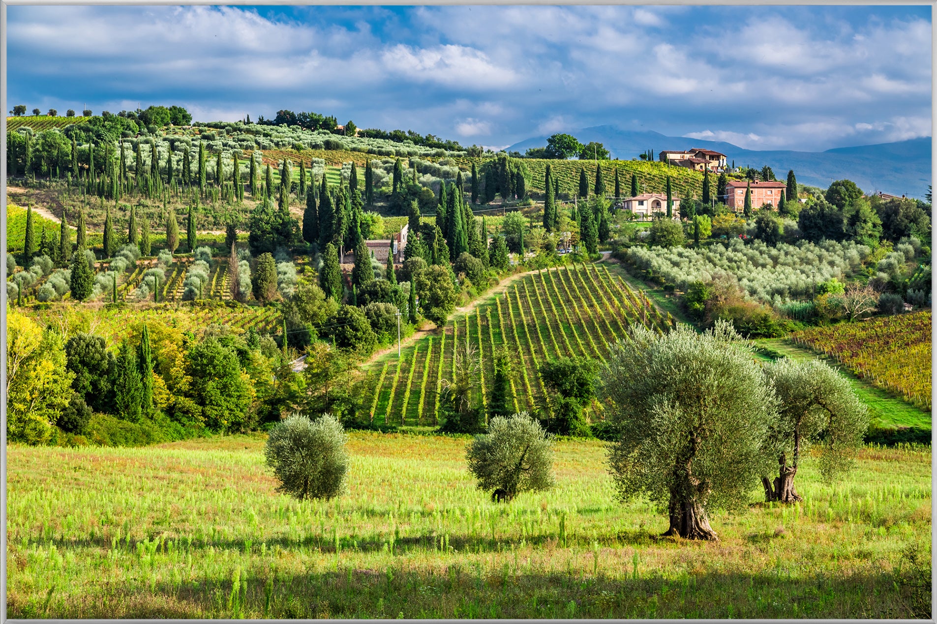 Picture &amp; Frame Idyllic Tuscan Landscape