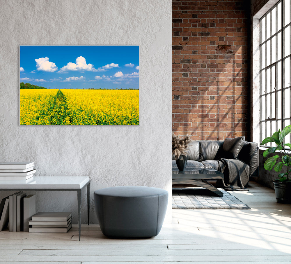 Picture &amp; Frame Yellow Rapeseed Field